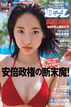 我的儿子比我老公大