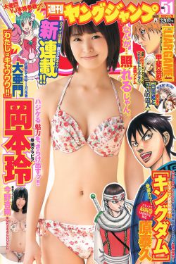 罗龙镇女人 电视剧